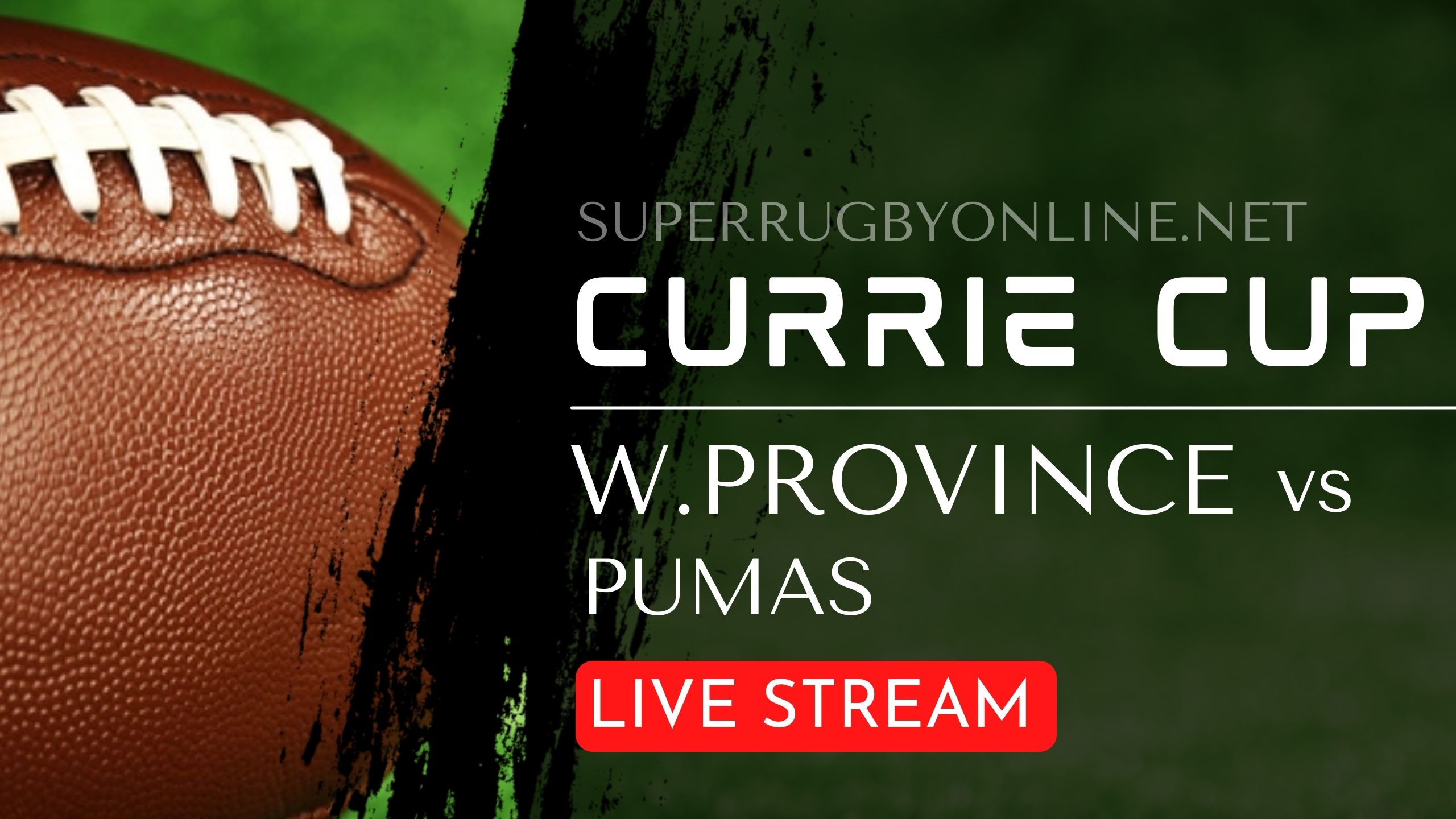 western-province-vs-pumas-full-rugby-matches-live-online