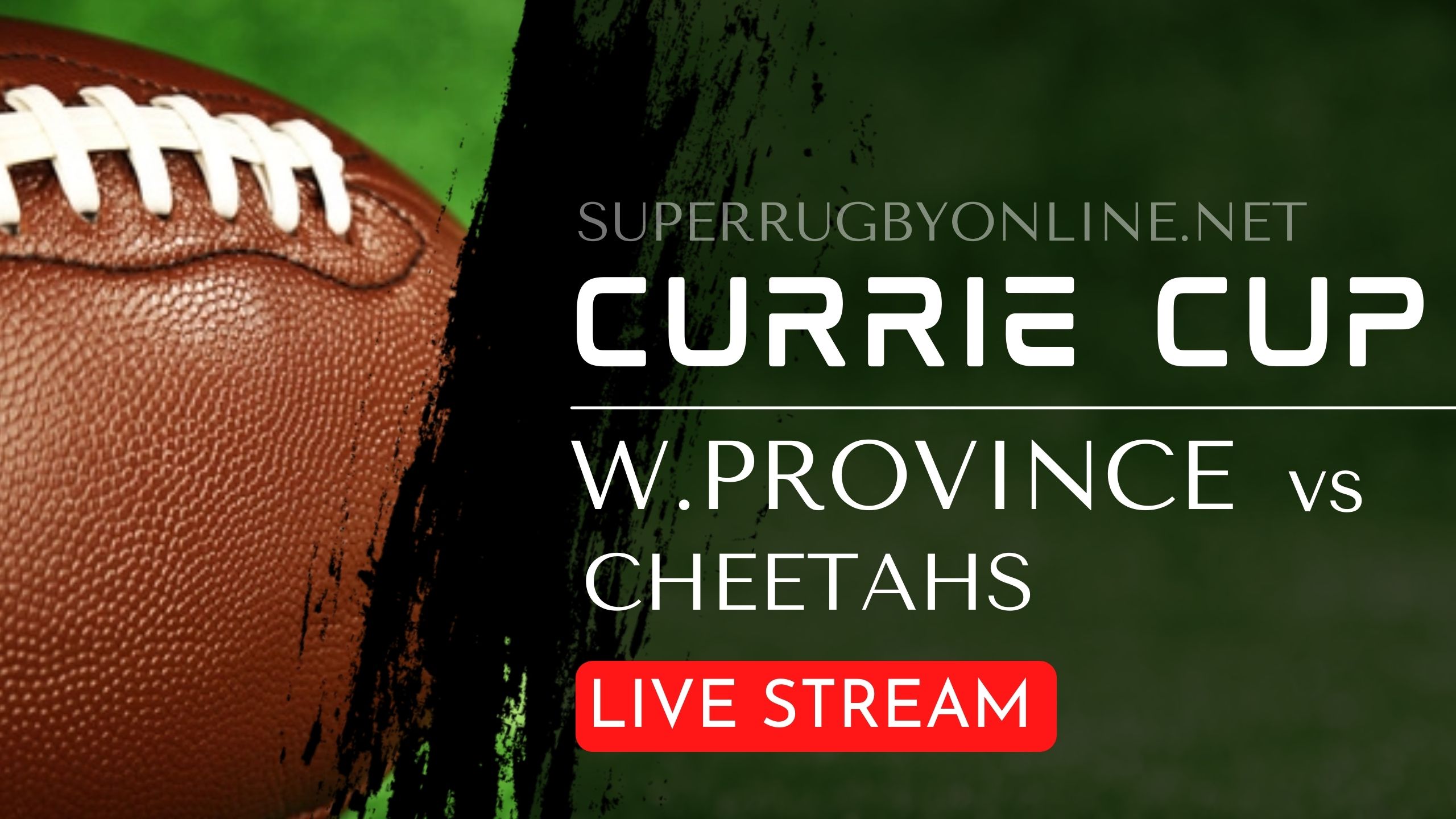 cheetahs-vs-western-province-full-rugby-matches-live-online