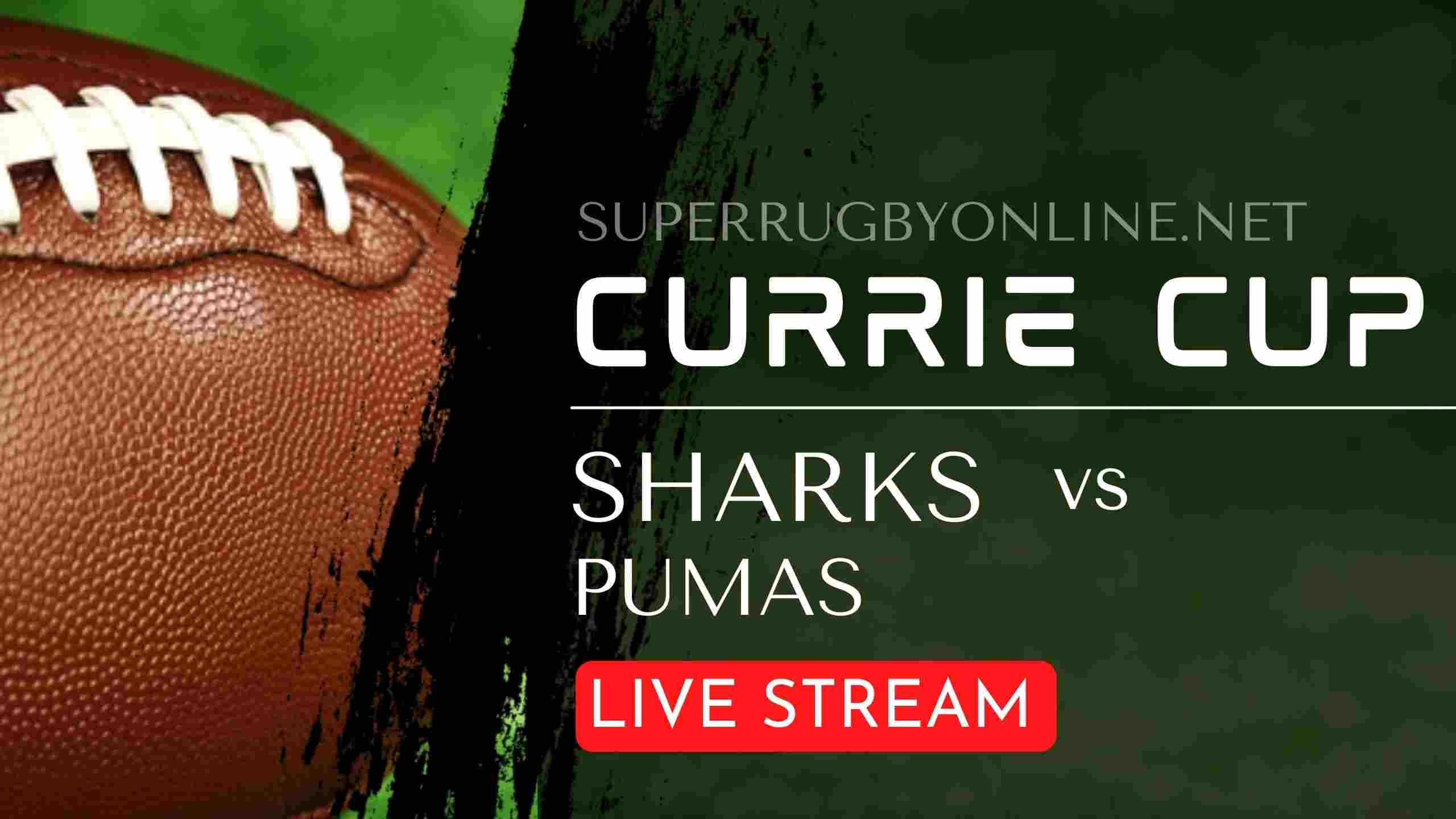 pumas-vs-sharks-full-rugby-matches-live-online