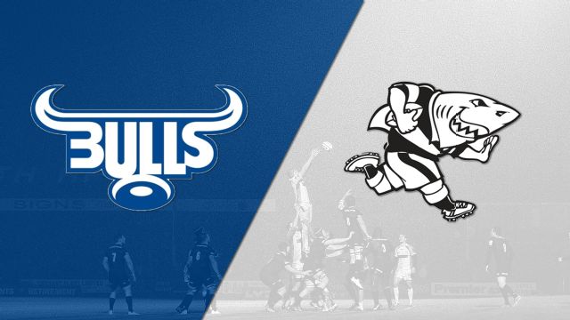 bulls-vs-sharks-rugby-live-online